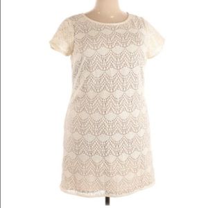 LOFT Crocheted Dress